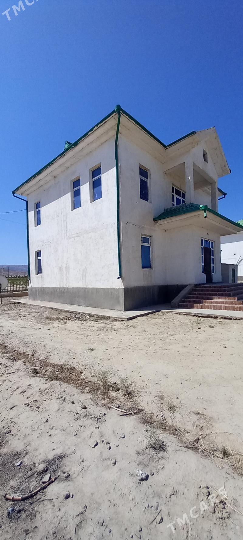 Kelete kateź - Бахарден - img 5