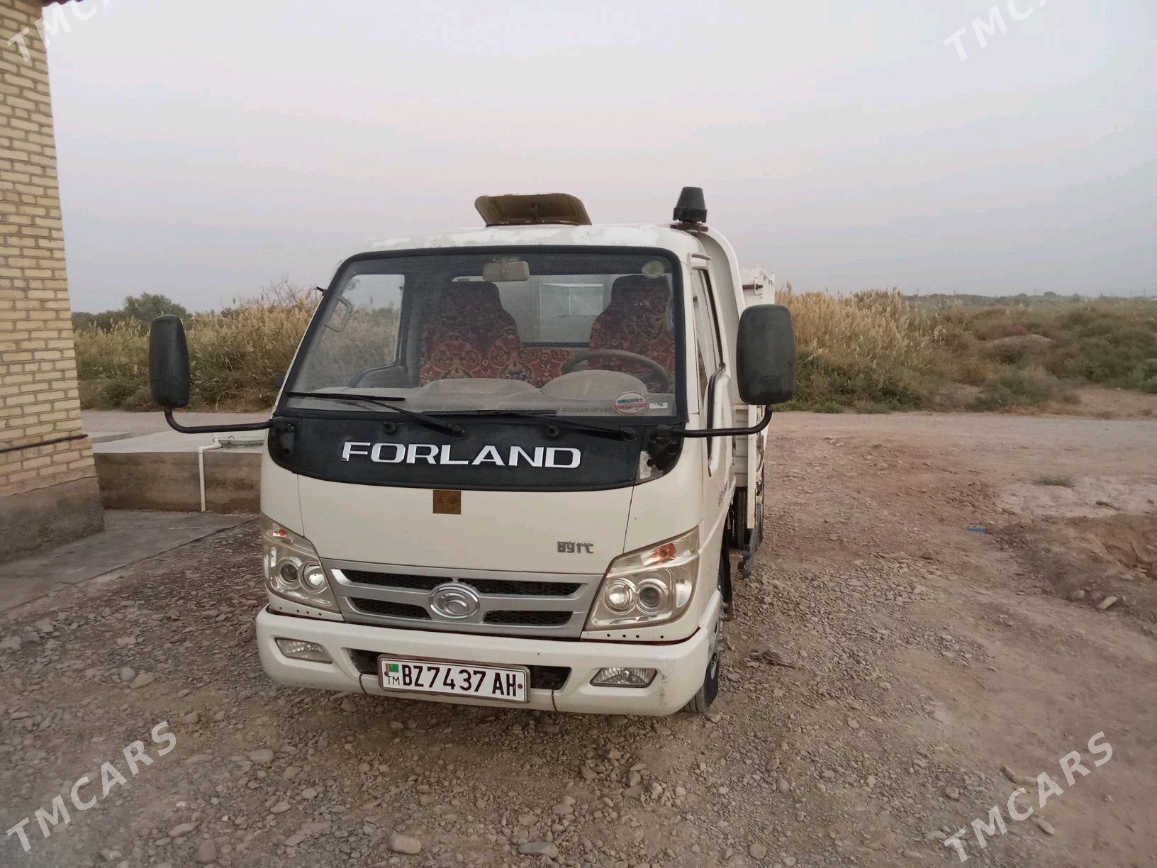 Forland H2 2012 - 130 000 TMT - Теджен - img 3