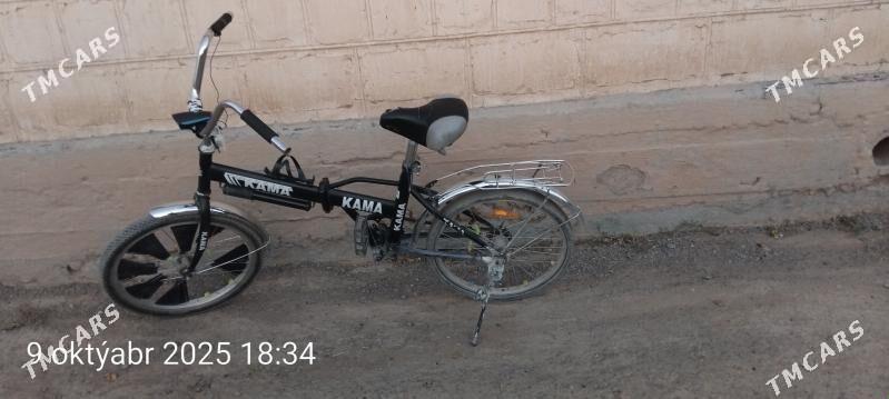 Tigir Kama - Ak bugdaý etraby - img 4