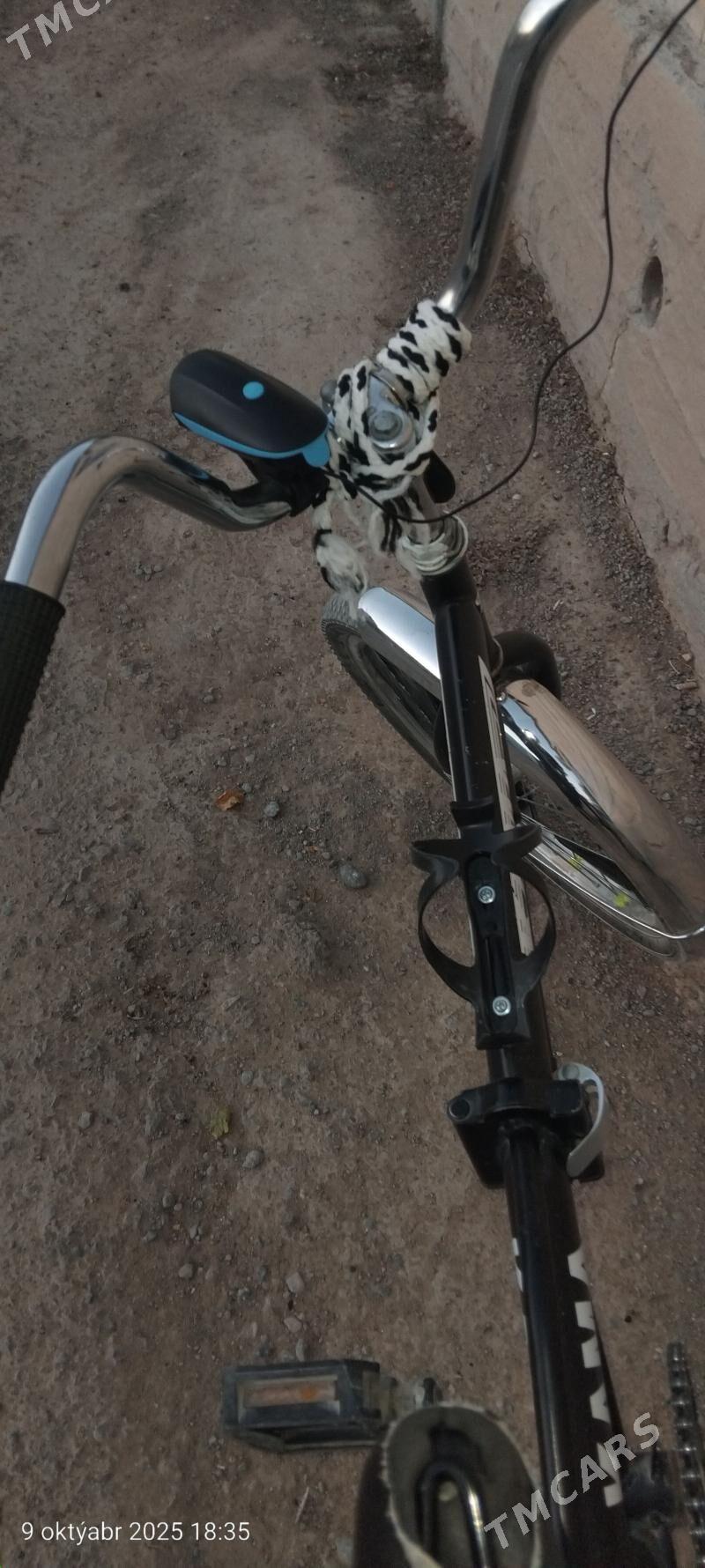 Tigir Kama - Ak bugdaý etraby - img 3