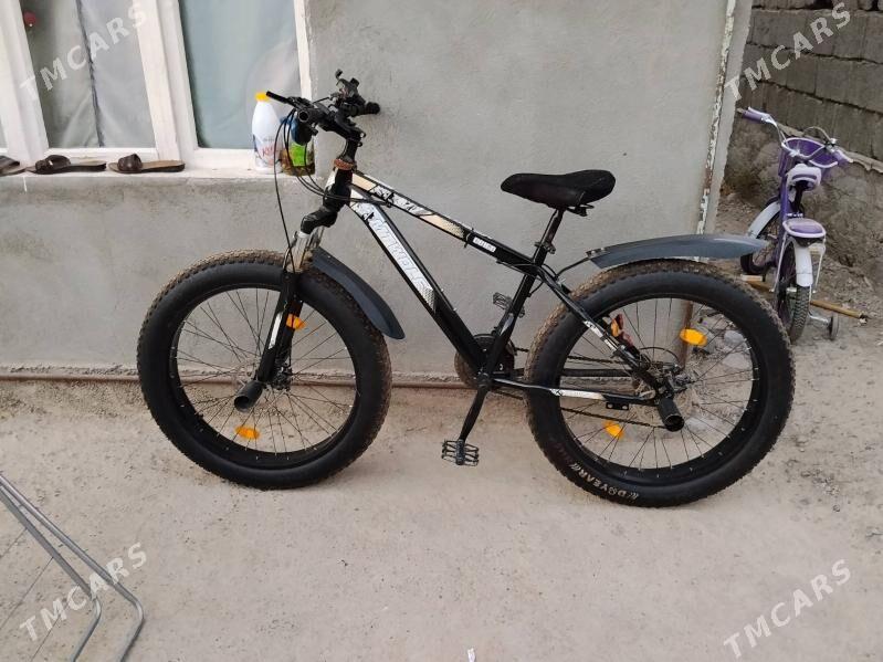 tigir - Гуртли - img 2