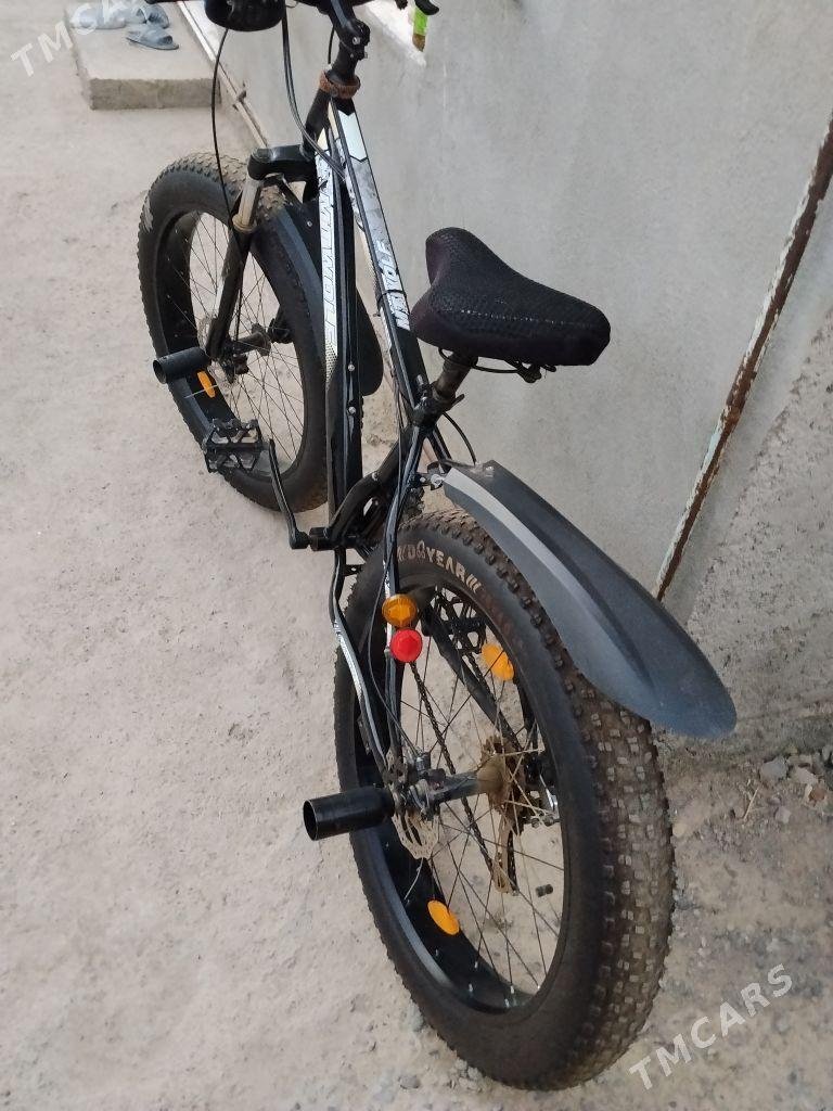 tigir - Гуртли - img 1