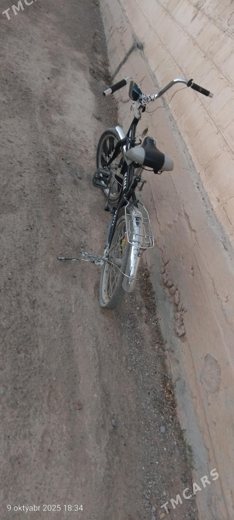 Tigir Kama - Ak bugdaý etraby - img 2