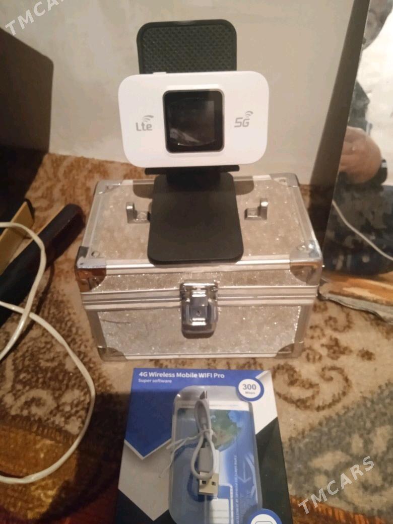 Fifi - Tejen - img 2