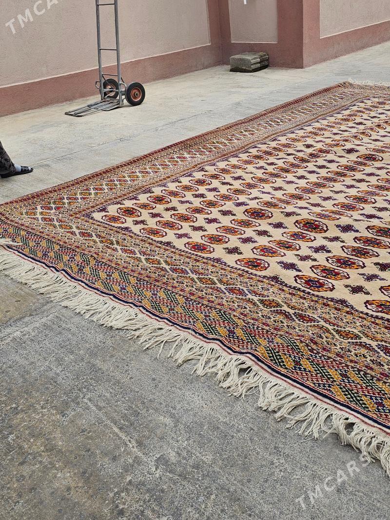 Haly - Aşgabat - img 1