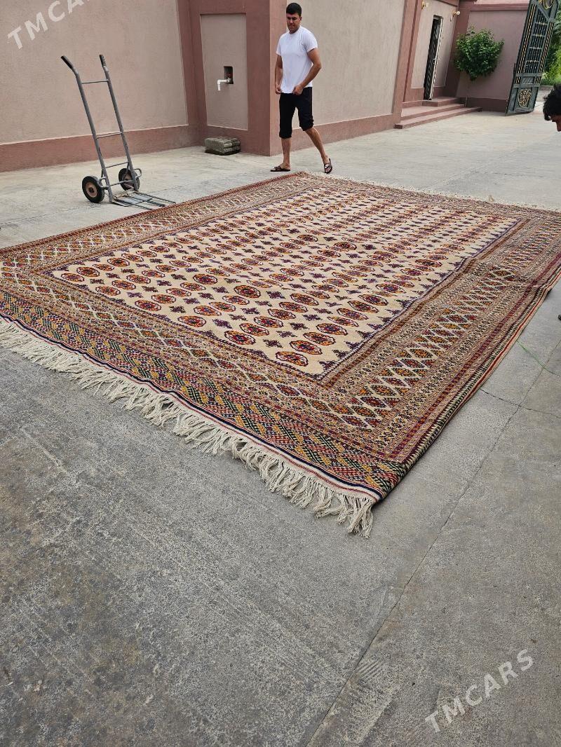 Haly - Aşgabat - img 2