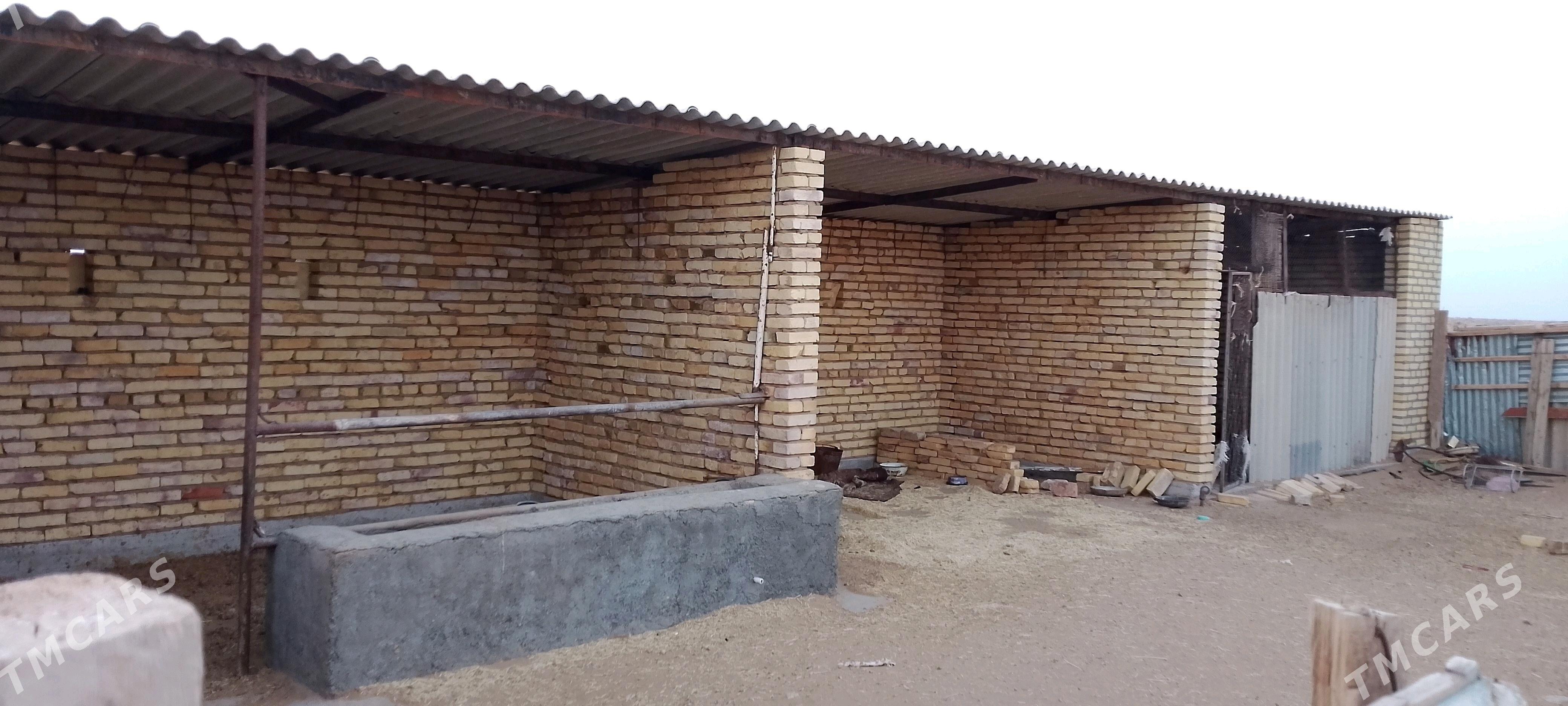 Babadaýhan satlyk jaý - Бабадайхан - img 3