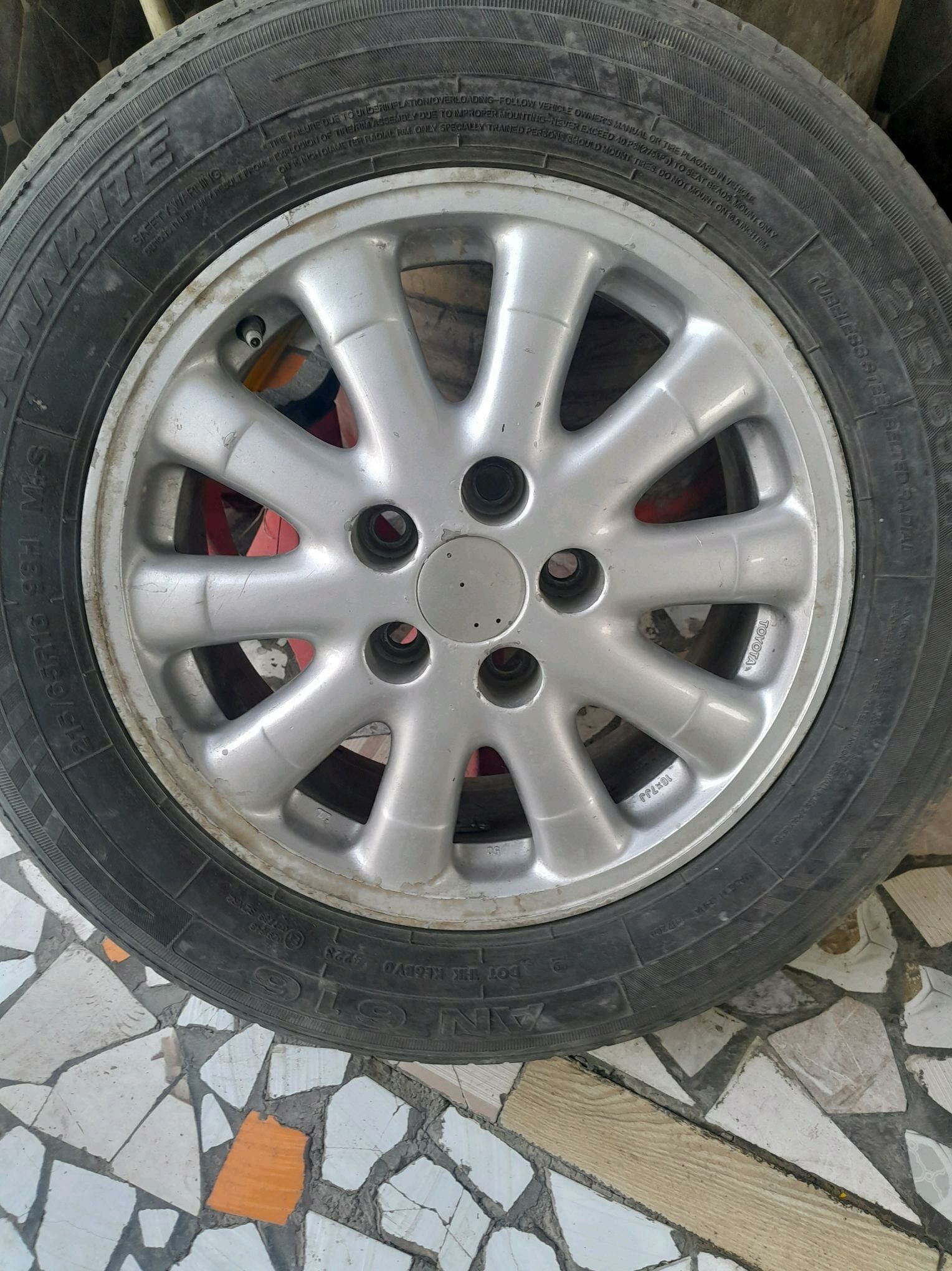 disga 16 250 TMT - Mary - img 2