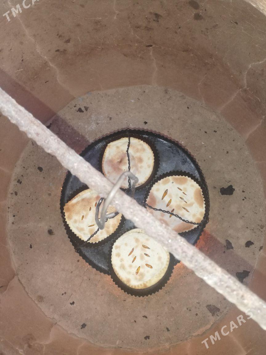 Tamdyr - Daşoguz - img 5