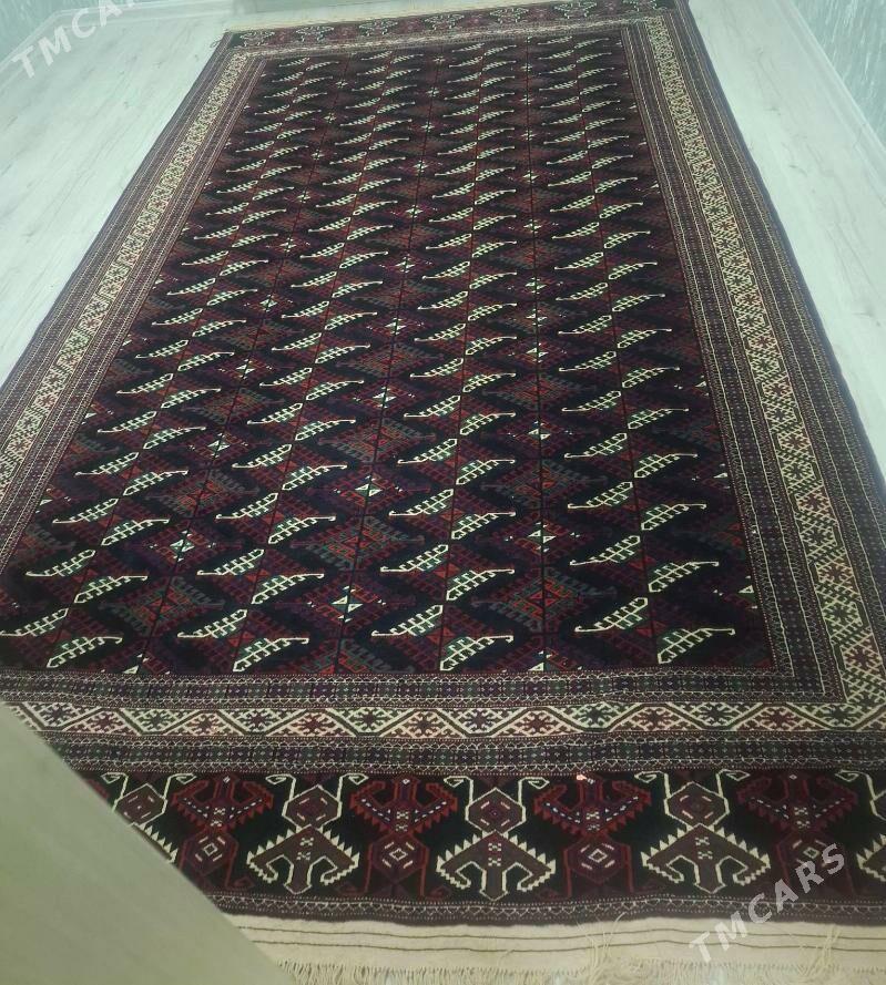 el artel haly - Балканабат - img 1