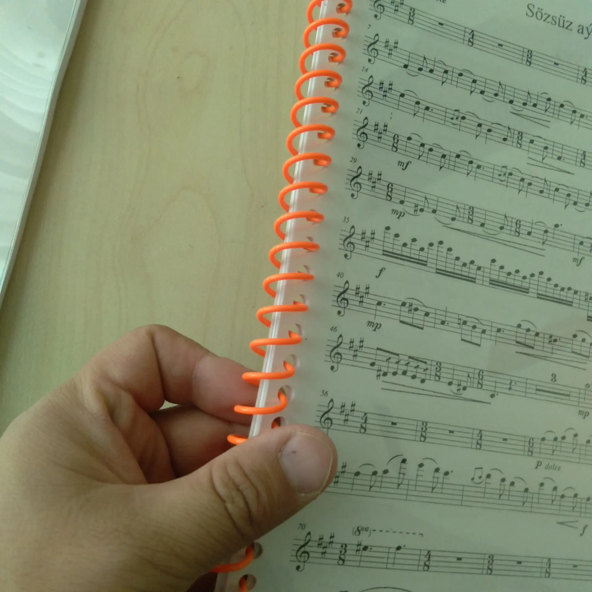 printer hyzmatlary - Гаудан "В" - img 11