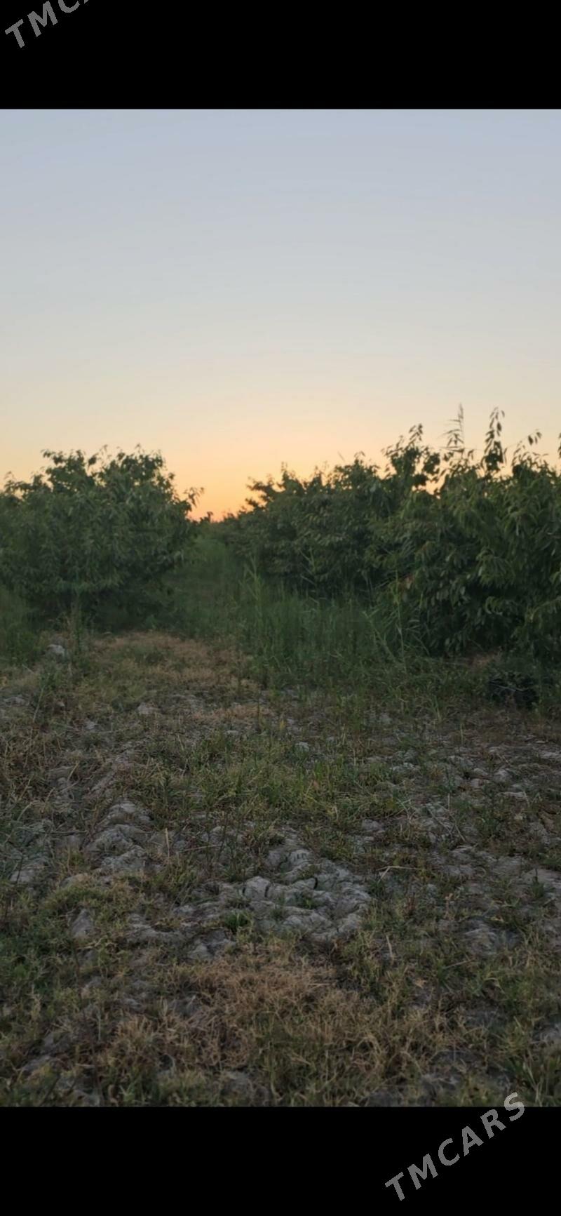 Lýuks kotedž - Sakar - img 3