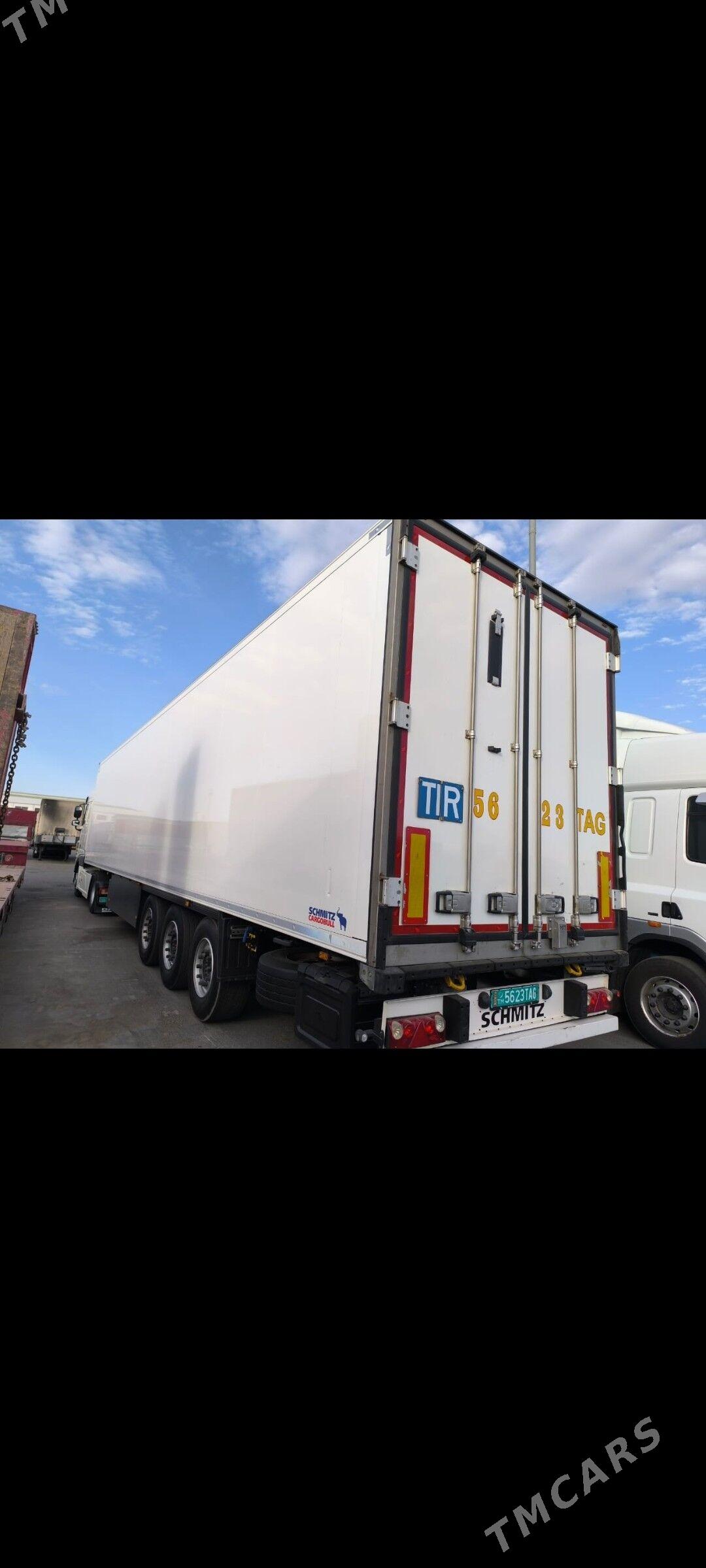 Schmitz Cargobull 2019 - 960 000 TMT - Çoganly - img 8