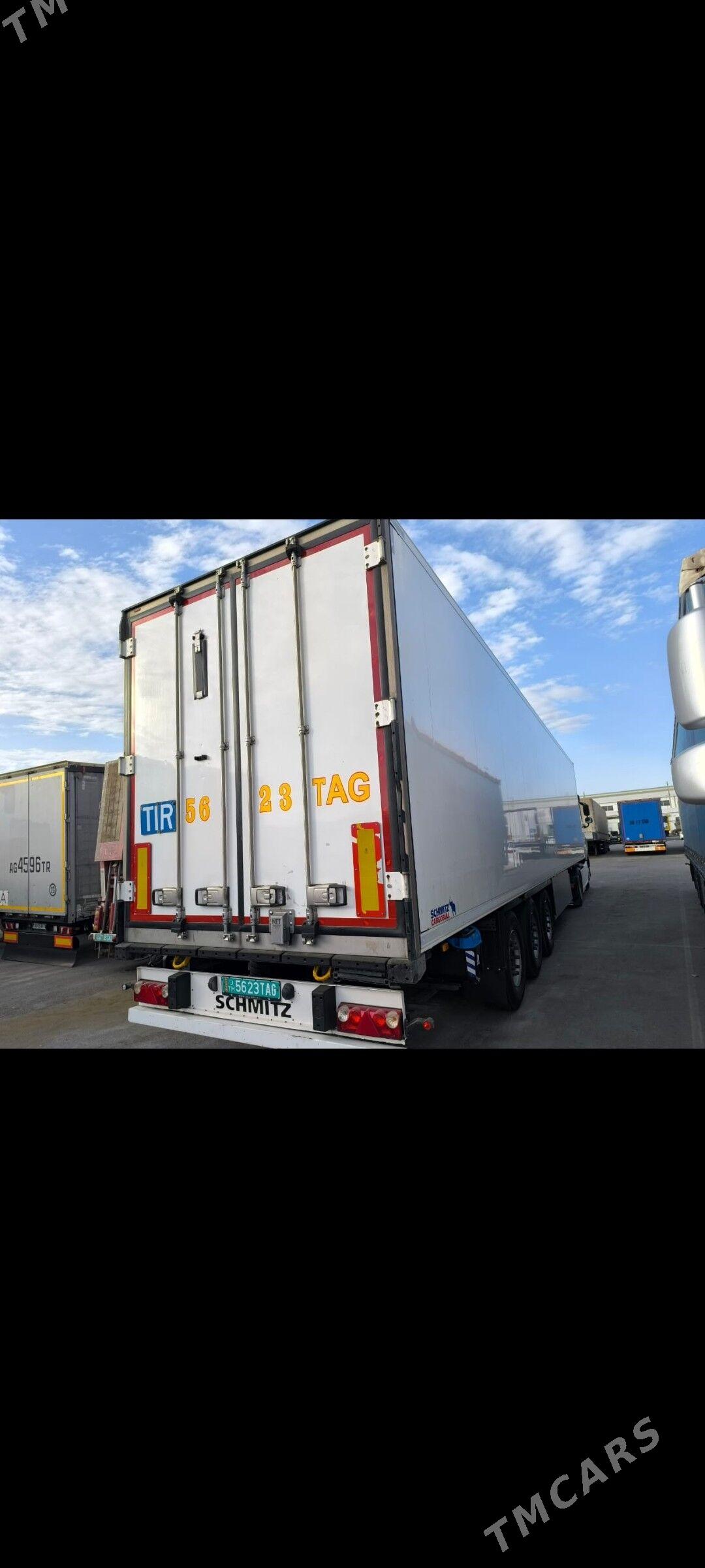 Schmitz Cargobull 2019 - 960 000 TMT - Çoganly - img 7