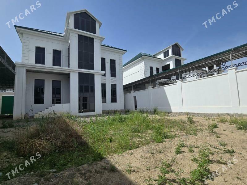 ÅNEW GOȘA_KOTTEŽ - Änew - img 5