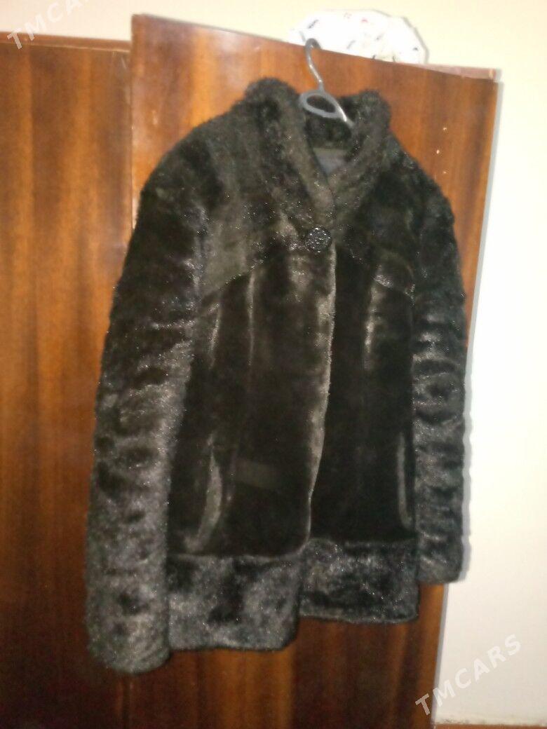 palto - Туркменабат - img 3