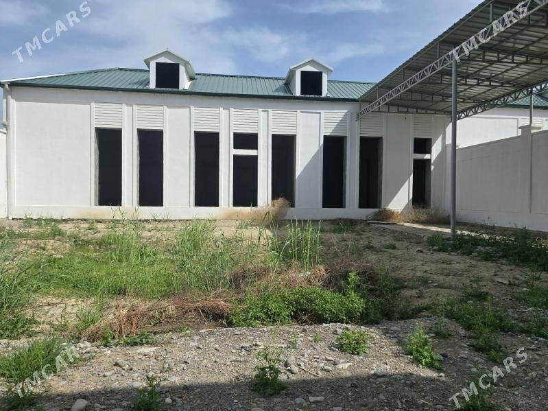 ÅNEW GOȘA_KOTTEŽ - Änew - img 9