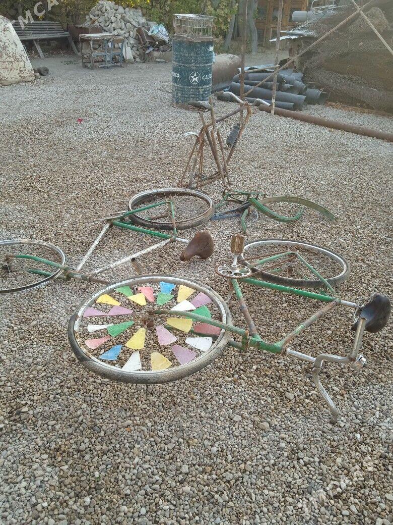 Welsapet Tigir - Balkanabat - img 5