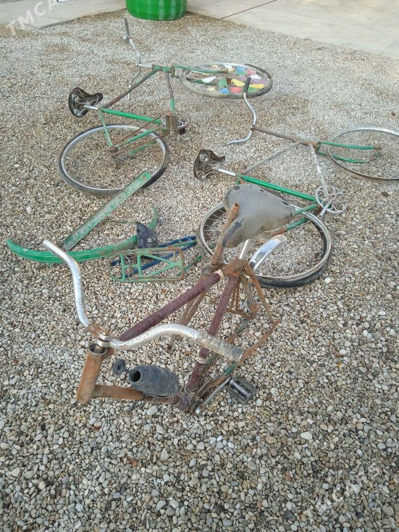 Welsapet Tigir - Balkanabat - img 4