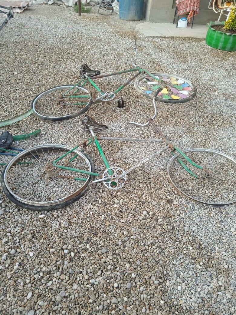 Welsapet Tigir - Балканабат - img 1