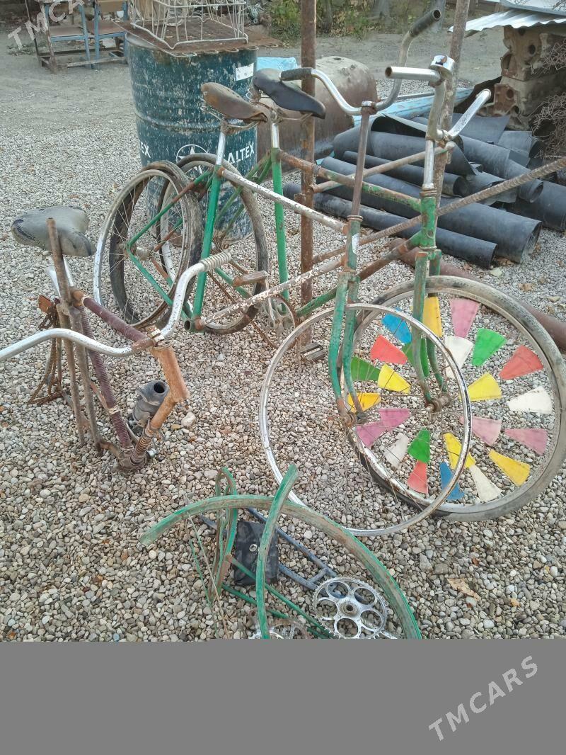 Welsapet Tigir - Balkanabat - img 6