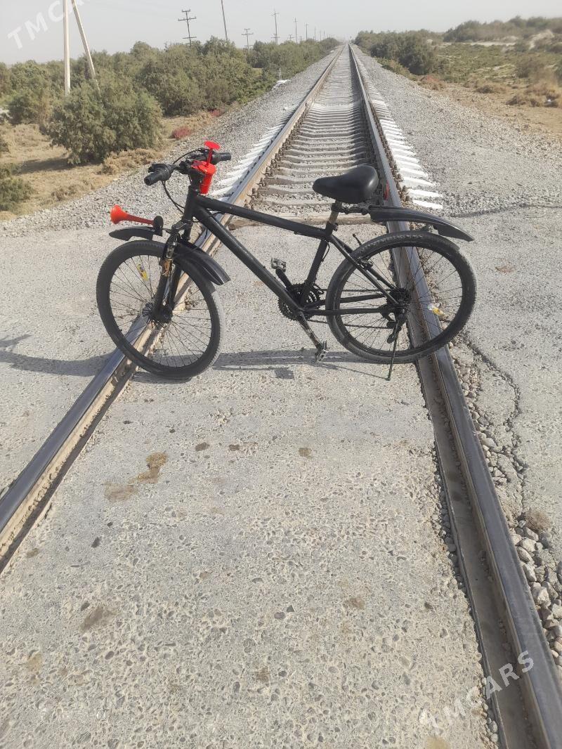 Tigir - Bäherden - img 1