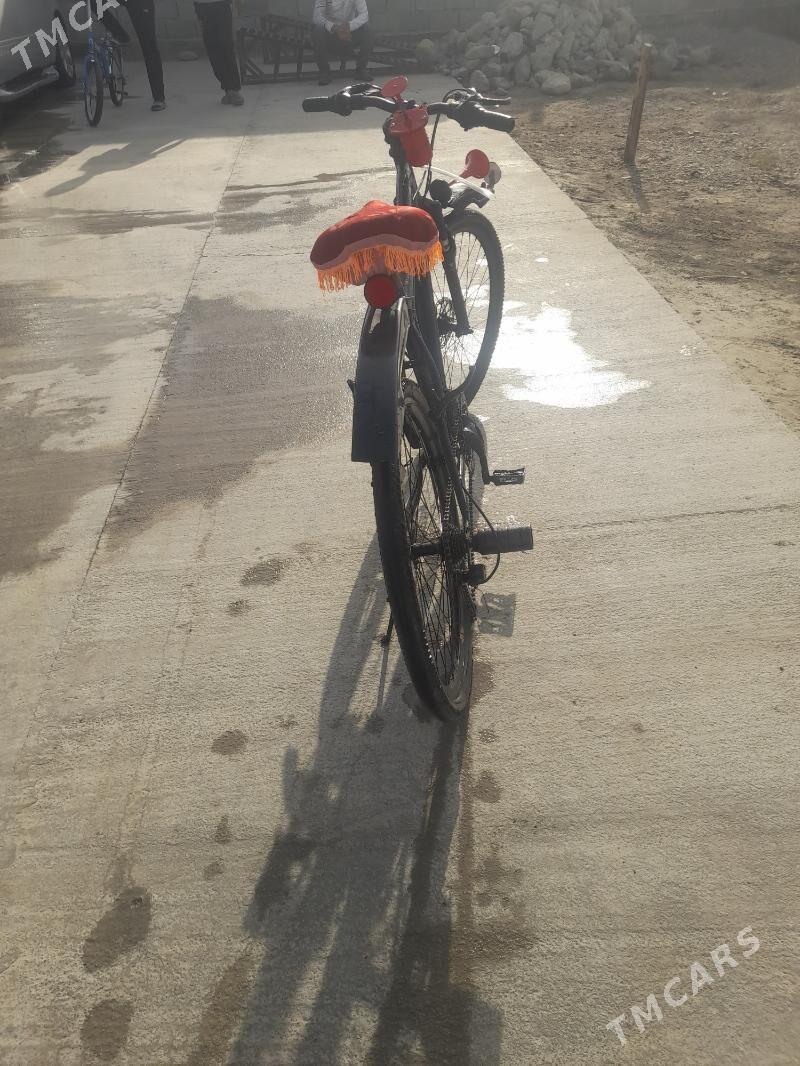 Tigir - Bäherden - img 2