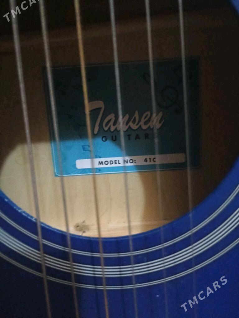 Gitara  - Mary - img 3