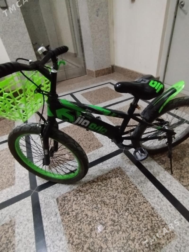 Caga tigiri - Берзенги - img 4