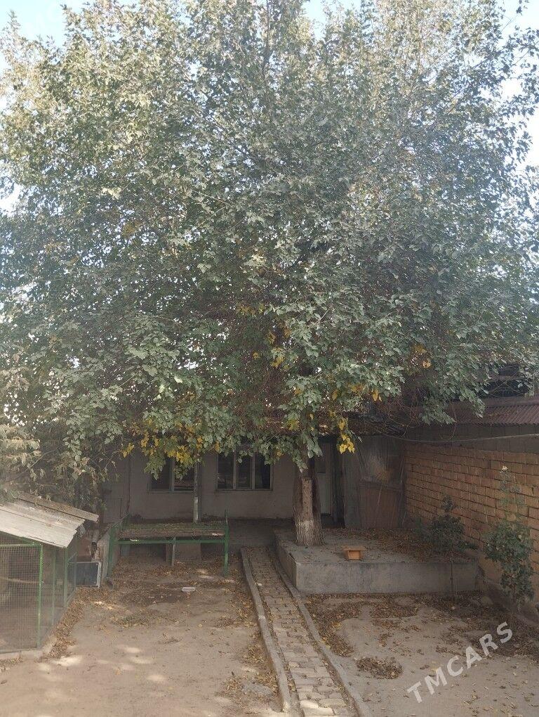 продам дом - Ашхабад - img 1