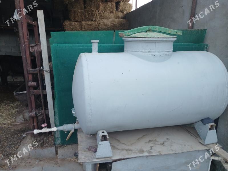 kwas boçka - Гарадамак Шор - img 2