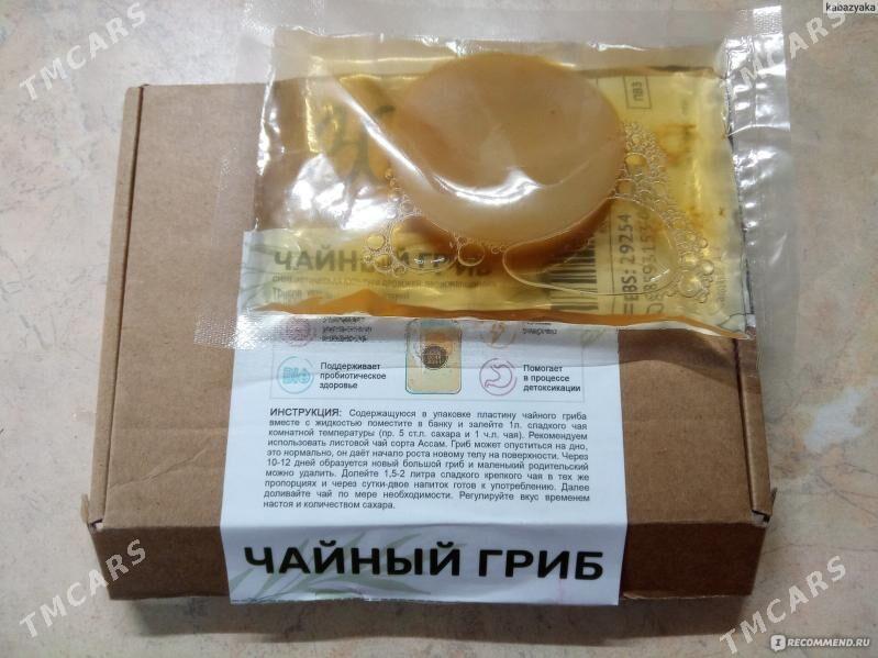 живой гриб - Туркменбаши - img 2