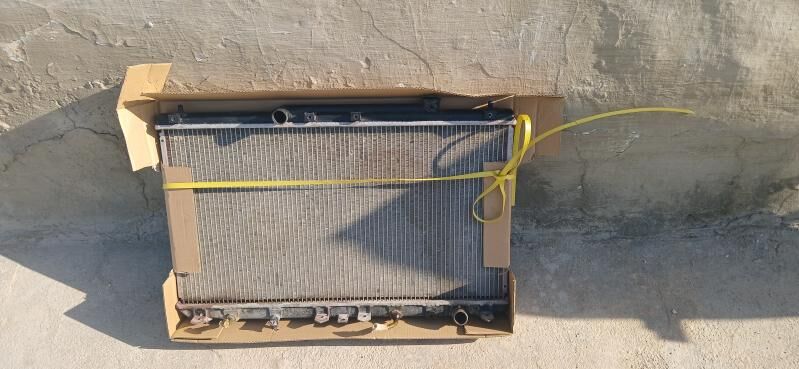 Babicka Radiator 250 TMT - Балканабат - img 2