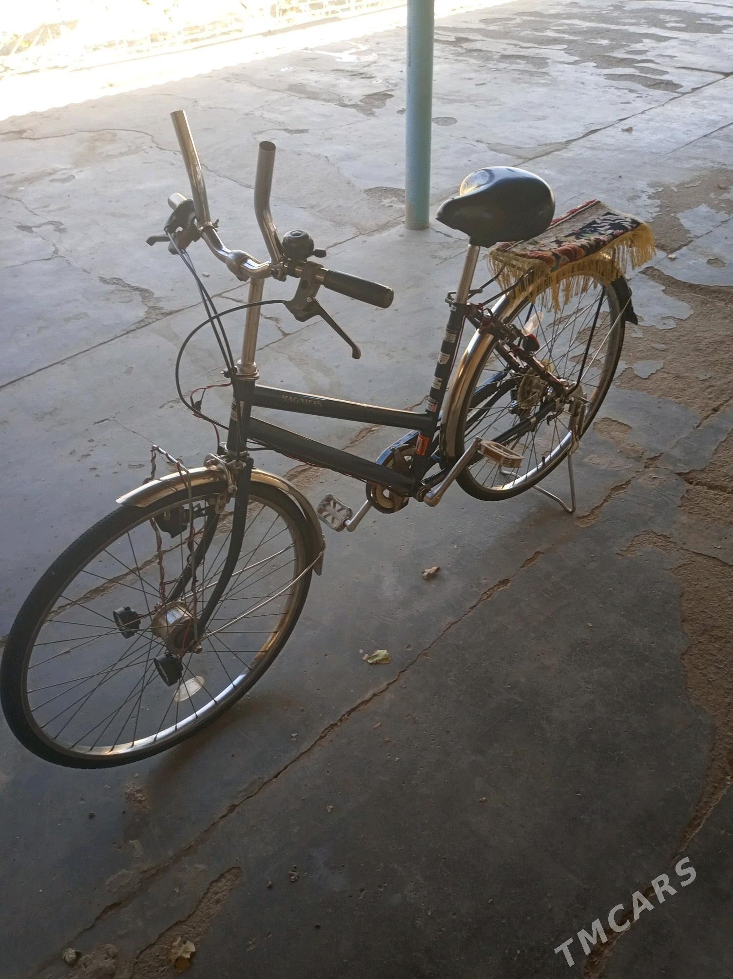 Welsepet 26 - Sarahs - img 1