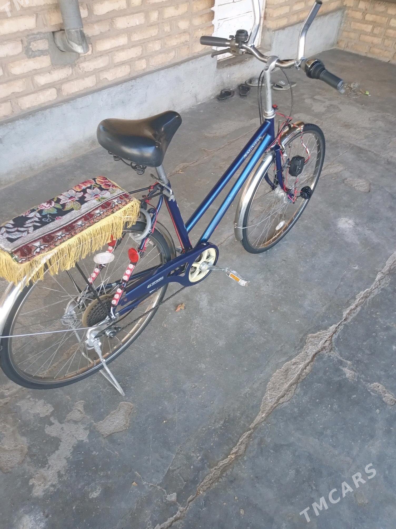 Welsepet 26 - Серахс - img 2