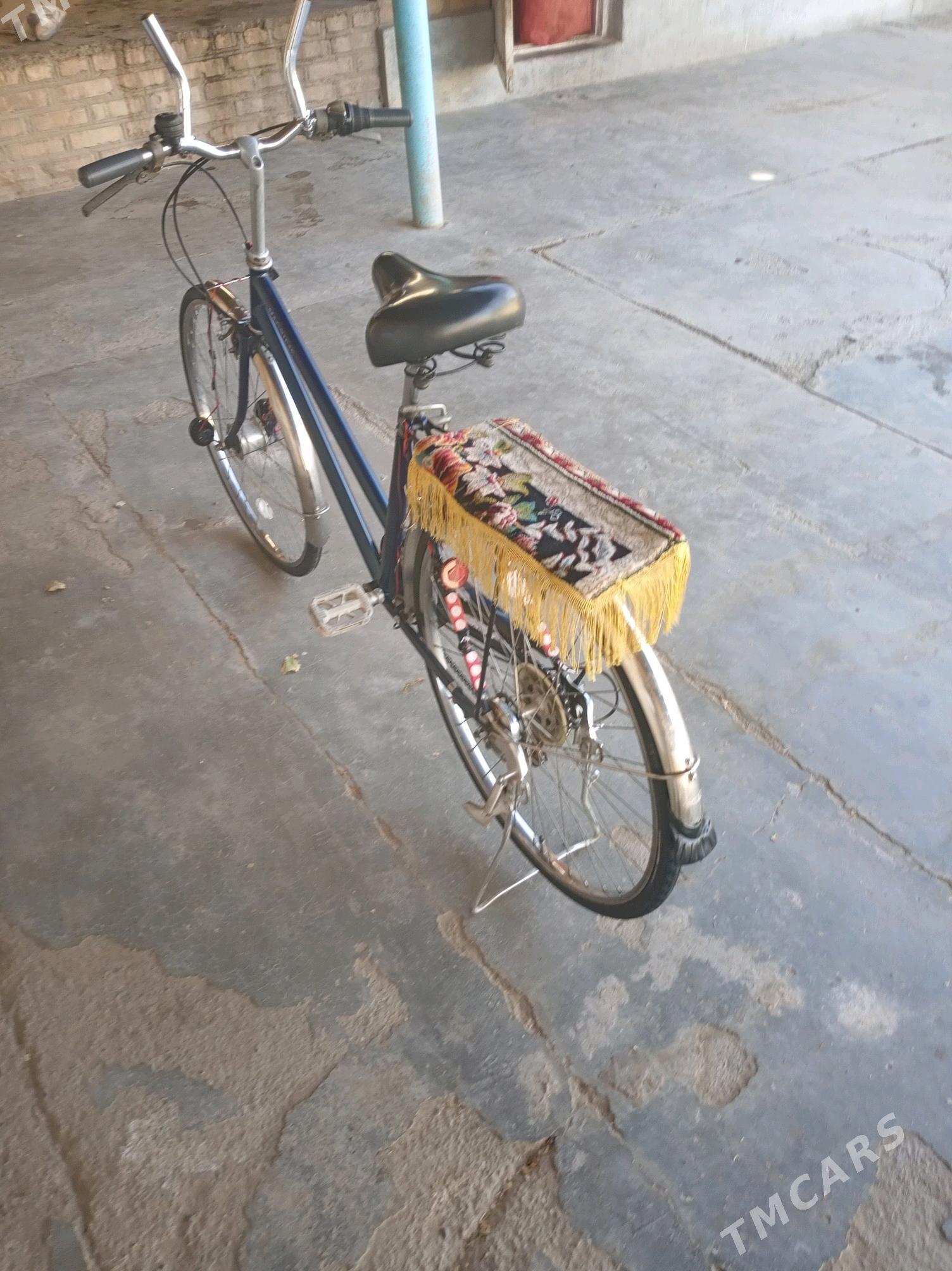 Welsepet 26 - Серахс - img 3