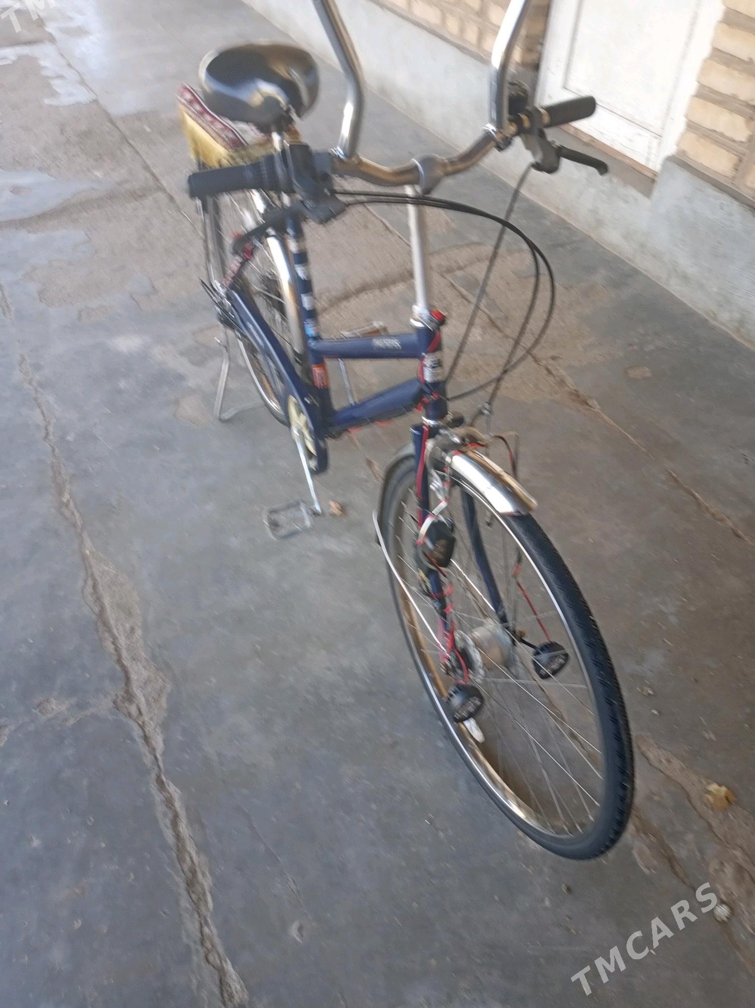 Welsepet 26 - Серахс - img 4