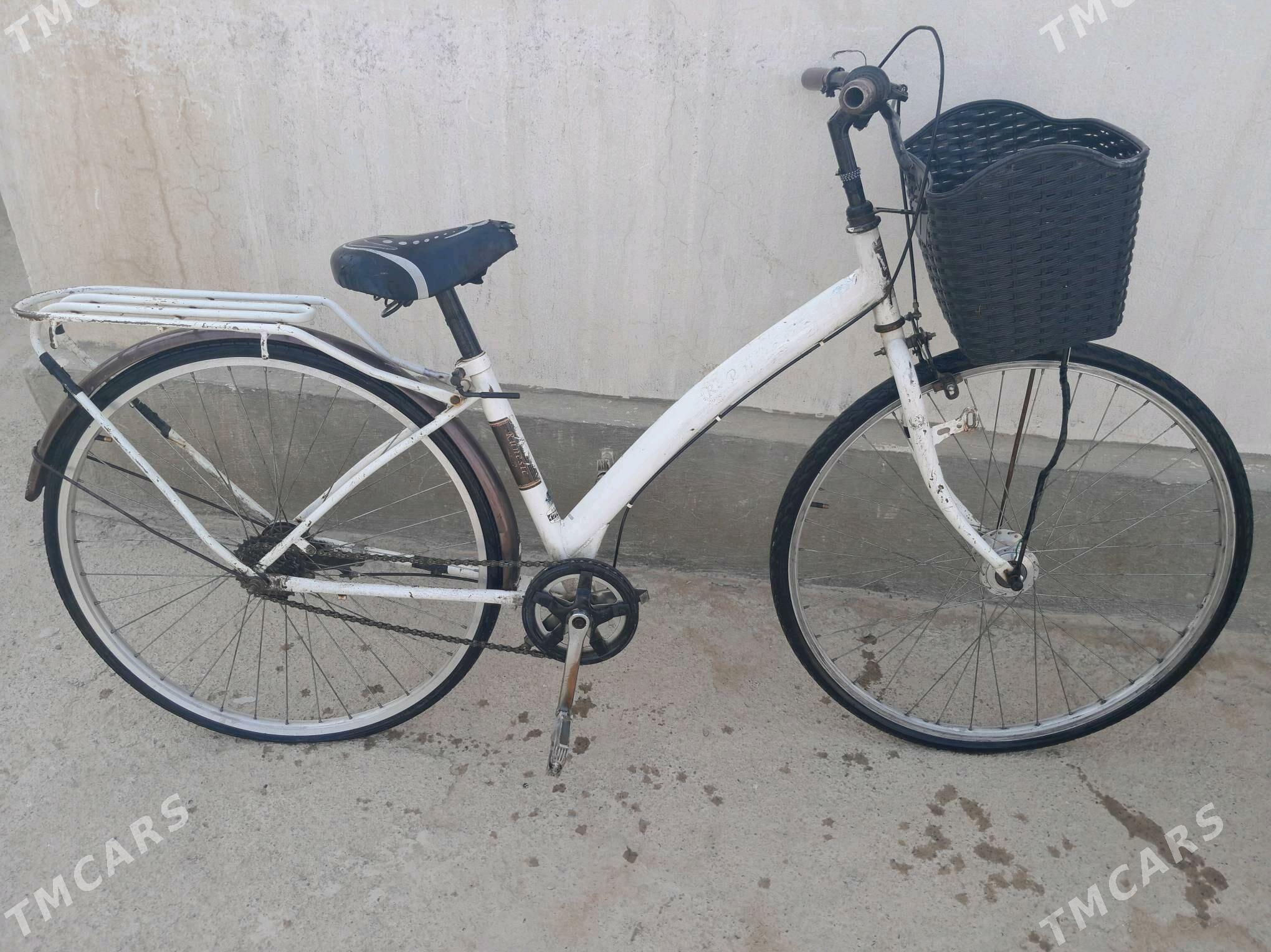 Tigir - Kaka - img 2