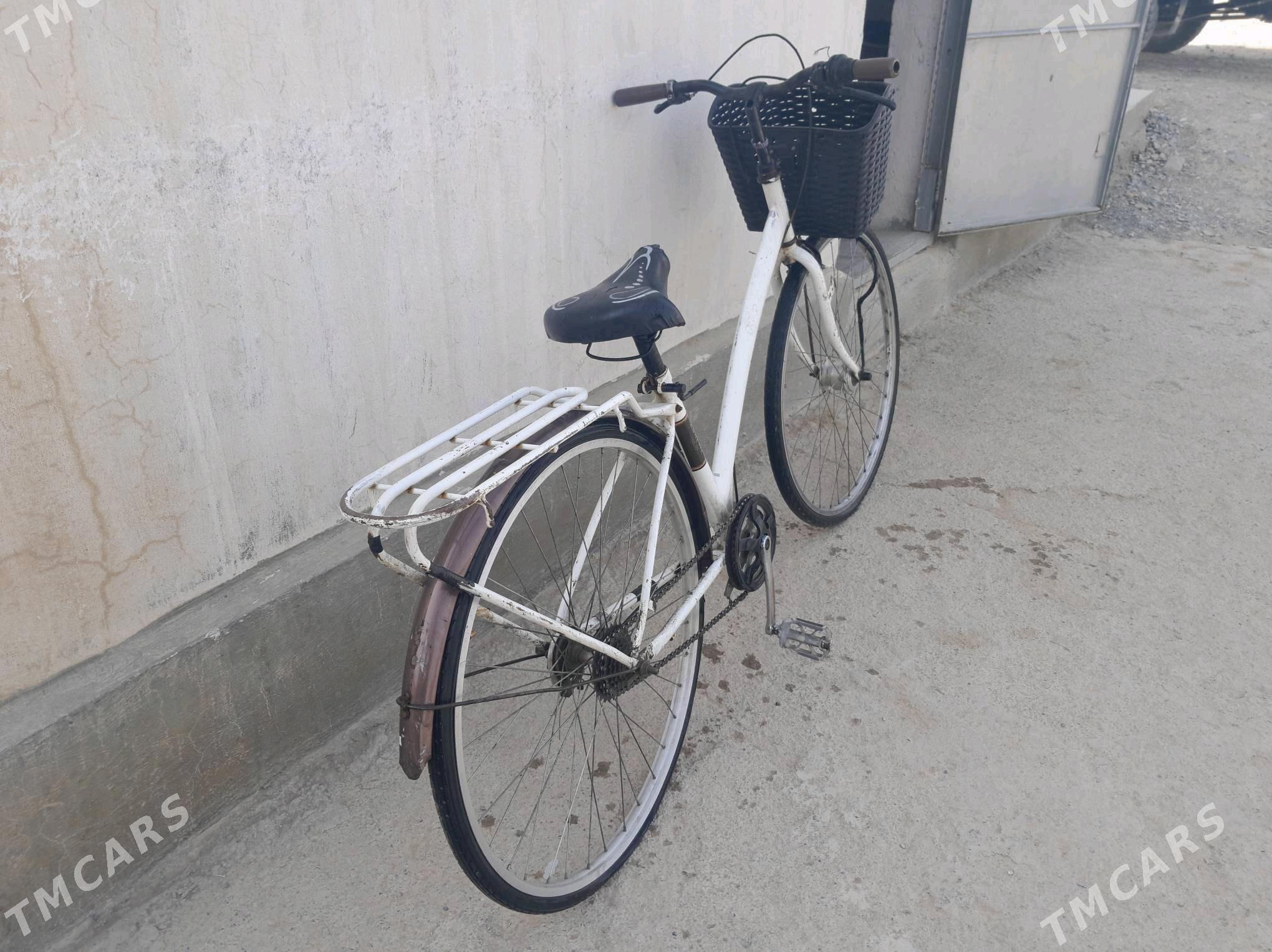 Tigir - Kaka - img 3