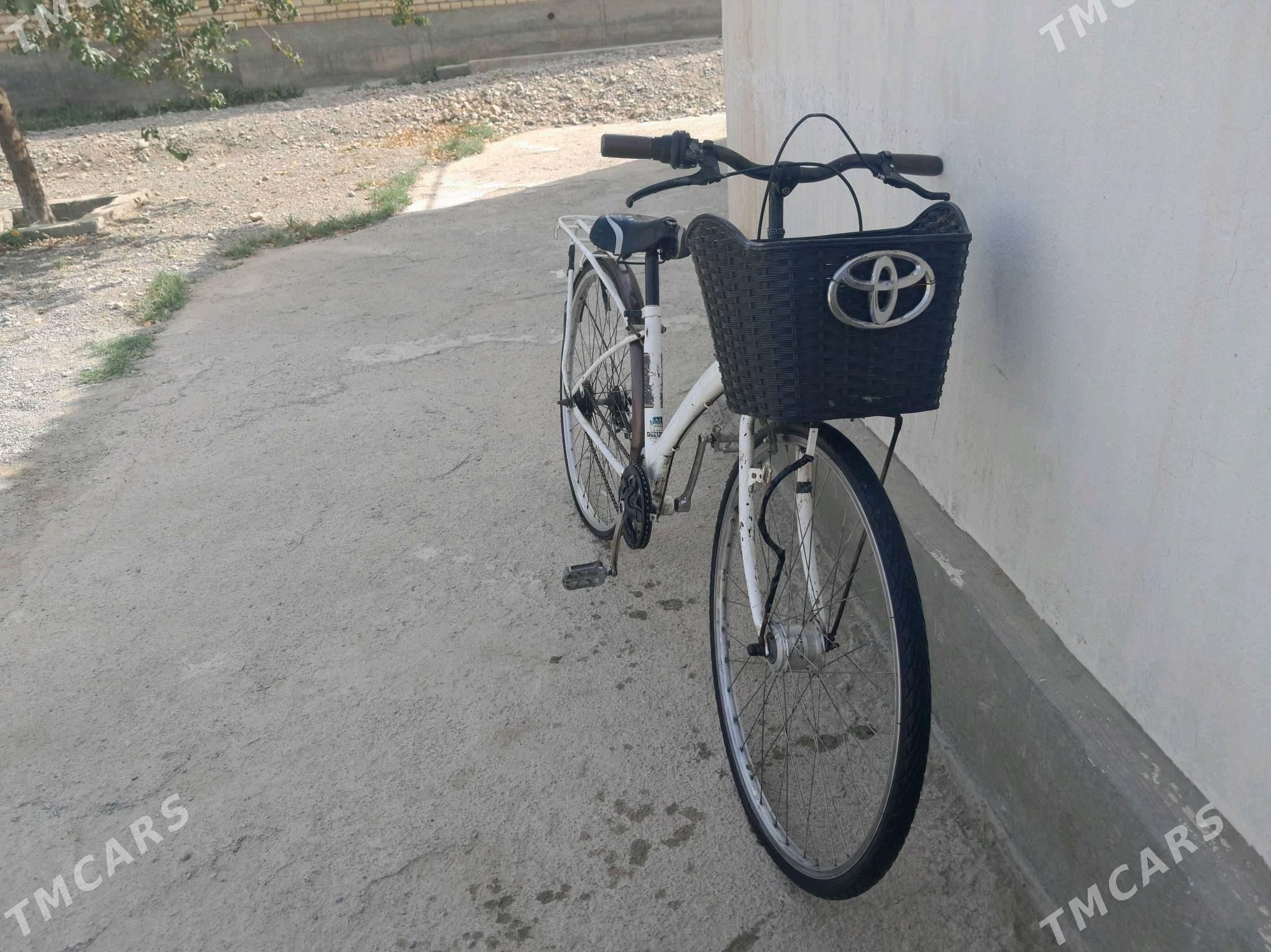 Tigir - Kaka - img 1