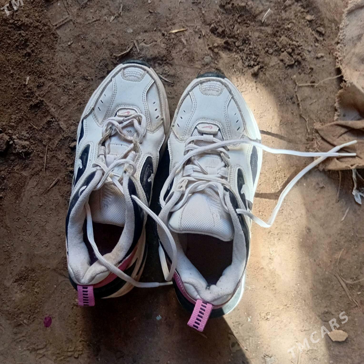 krasowka - Дашогуз - img 3