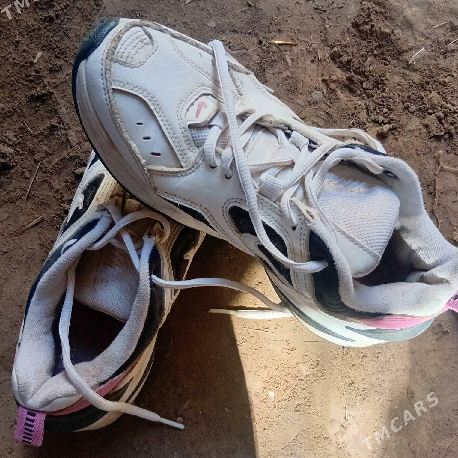 krasowka - Дашогуз - img 4