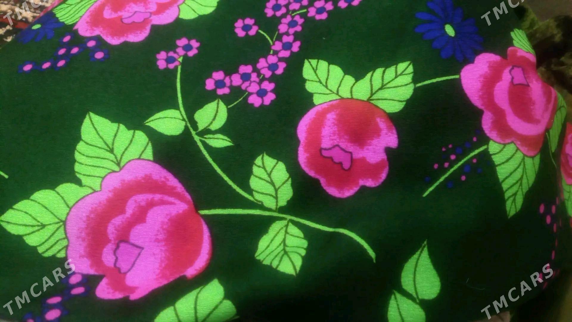 Gadymy gurytay - Gagarin köç, köne Howa menzili - img 1