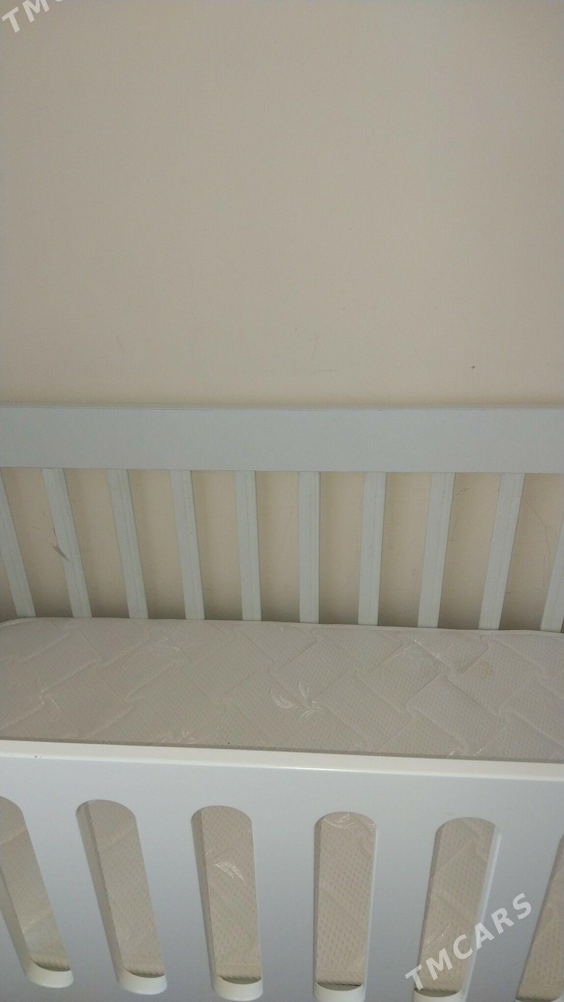 Caga krawat - Gurtly - img 2