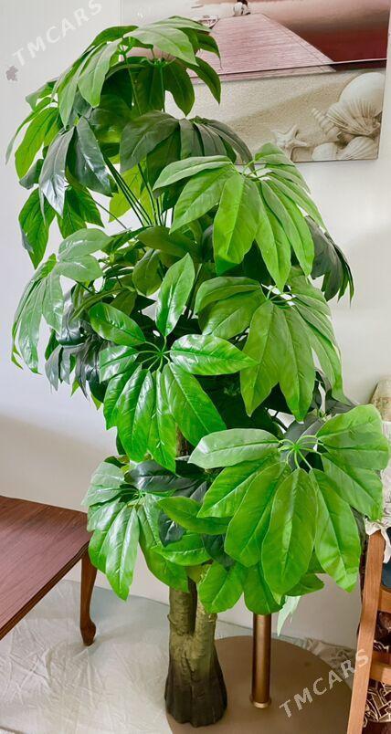 картины для офиса - Ашхабад - img 3