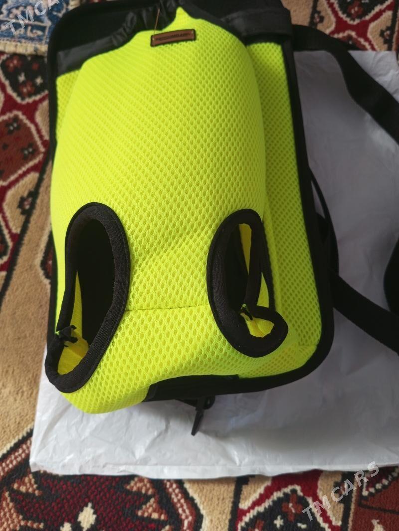 kingurýatik dlýa kotýat - Türkmenabat - img 3