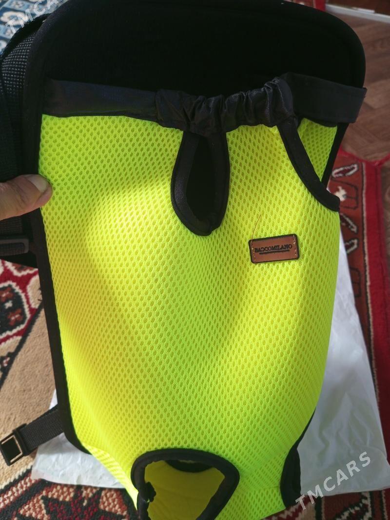 kingurýatik dlýa kotýat - Türkmenabat - img 2