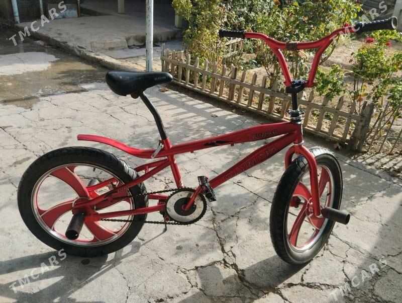 Tigir - Кëши - img 2