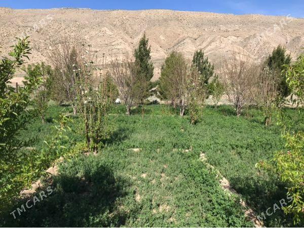 Daca - Гызыларбат - img 2