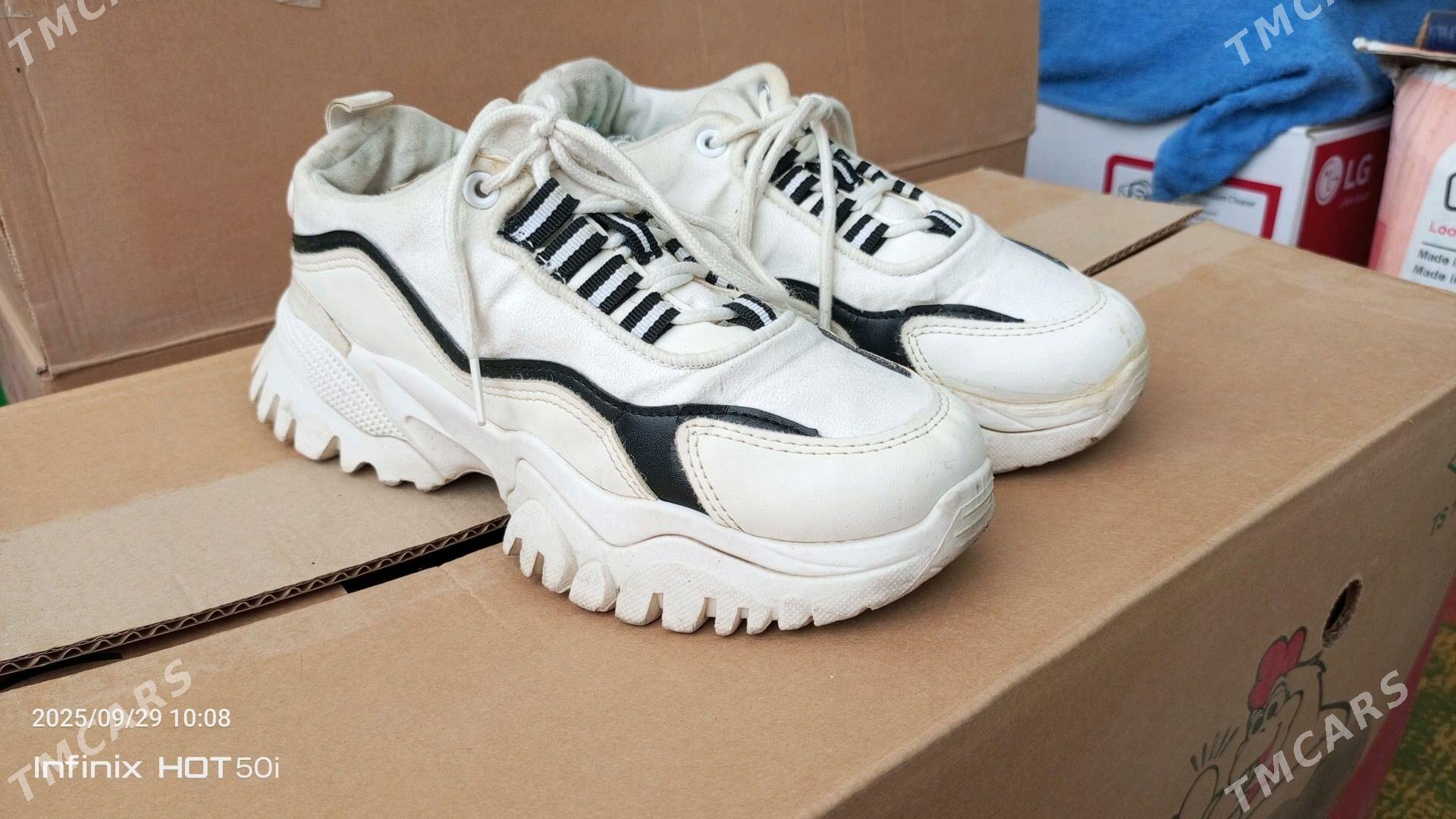 kowush - Türkmenbaşy - img 1